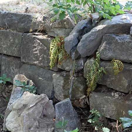 Le Querce San Severino